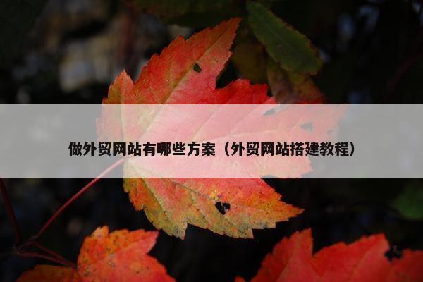 做外贸网站有哪些方案（外贸网站搭建教程）
