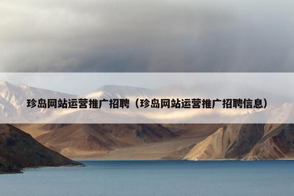 珍岛网站运营推广招聘（珍岛网站运营推广招聘信息）