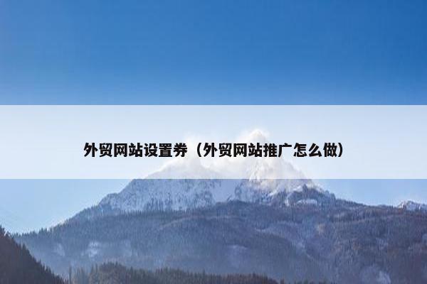 外贸网站设置券（外贸网站推广怎么做）