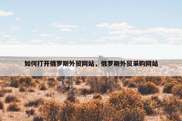 如何打开俄罗斯外贸网站，俄罗斯外贸采购网站