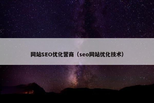 网站SEO优化营商（seo网站优化技术）