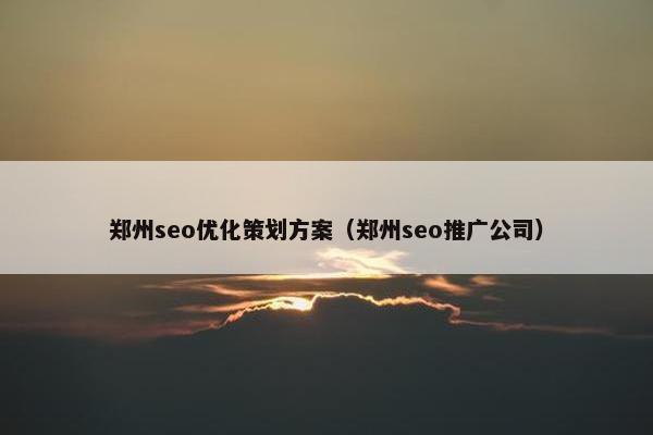 郑州seo优化策划方案（郑州seo推广公司）