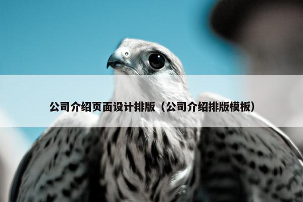 公司介绍页面设计排版（公司介绍排版模板）