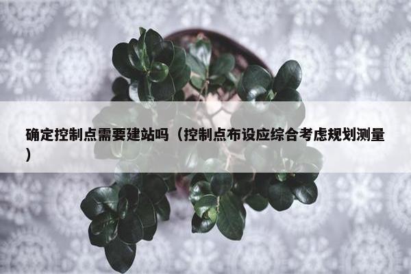 确定控制点需要建站吗（控制点布设应综合考虑规划测量）