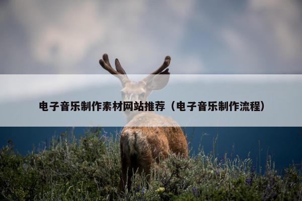 电子音乐制作素材网站推荐（电子音乐制作流程）