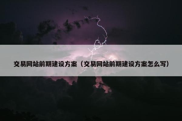 交易网站前期建设方案（交易网站前期建设方案怎么写）