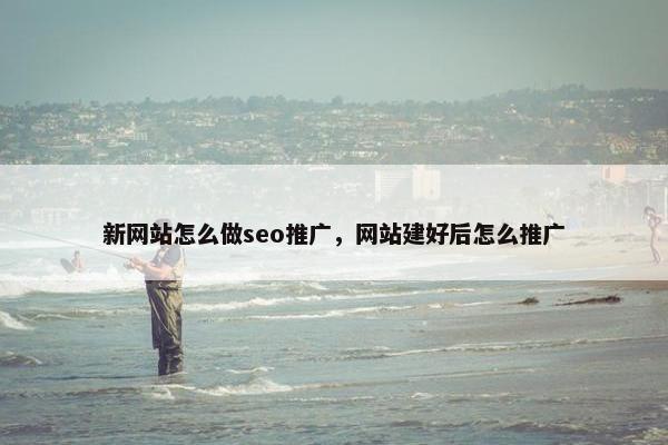 新网站怎么做seo推广，网站建好后怎么推广