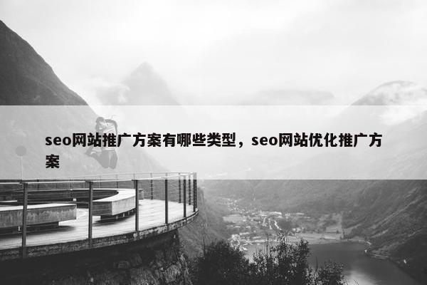 seo网站推广方案有哪些类型，seo网站优化推广方案