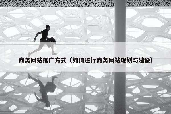 商务网站推广方式（如何进行商务网站规划与建设）