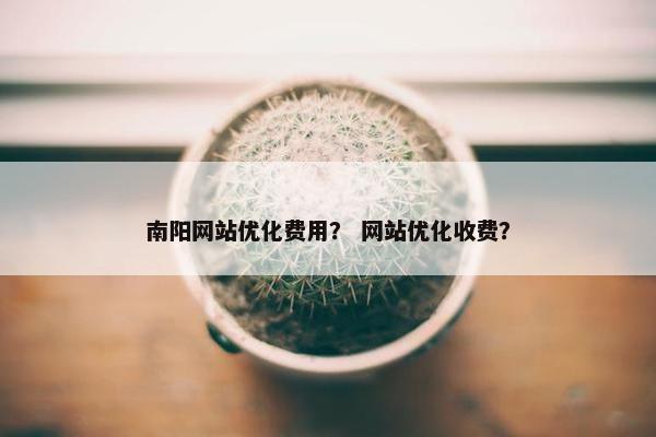 南阳网站优化费用？ 网站优化收费？