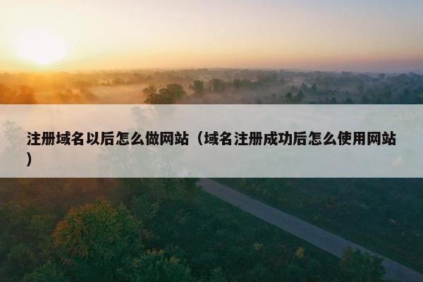 注册域名以后怎么做网站（域名注册成功后怎么使用网站）