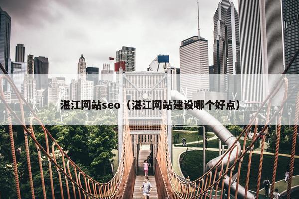 湛江网站seo（湛江网站建设哪个好点）