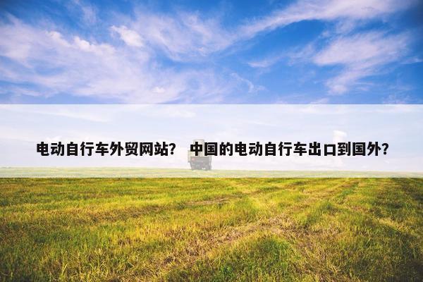 电动自行车外贸网站？ 中国的电动自行车出口到国外？