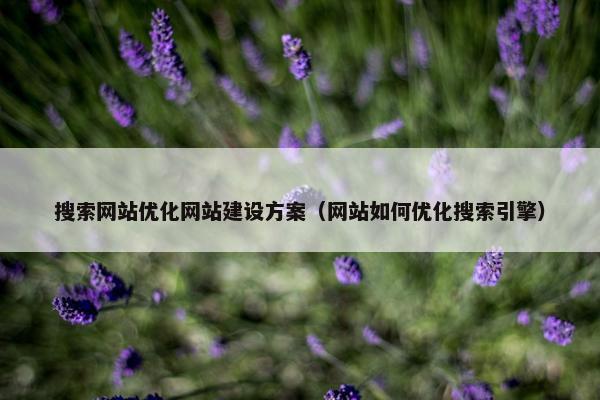 搜索网站优化网站建设方案（网站如何优化搜索引擎）