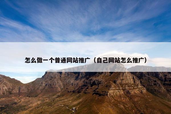 怎么做一个普通网站推广（自己网站怎么推广）
