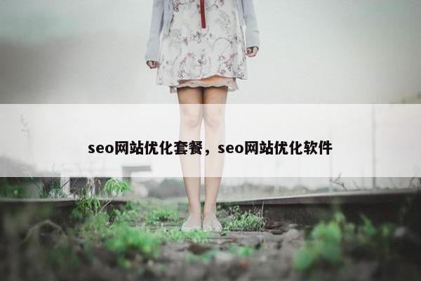 seo网站优化套餐，seo网站优化软件