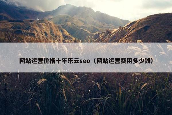 网站运营价格十年乐云seo（网站运营费用多少钱）