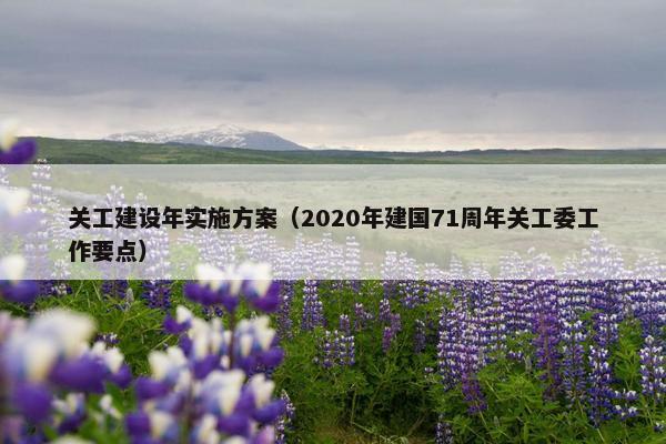 关工建设年实施方案（2020年建国71周年关工委工作要点）