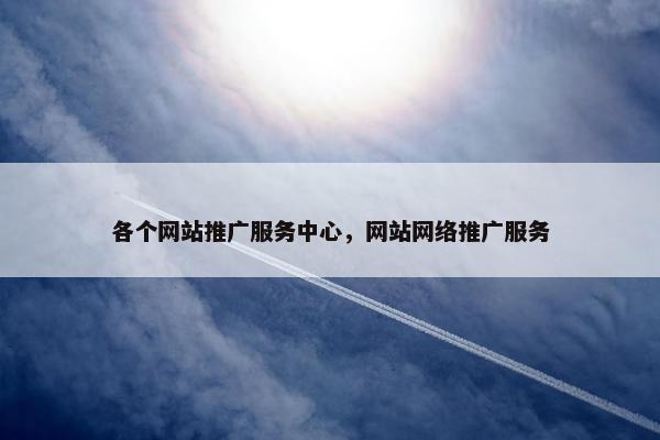 各个网站推广服务中心，网站网络推广服务