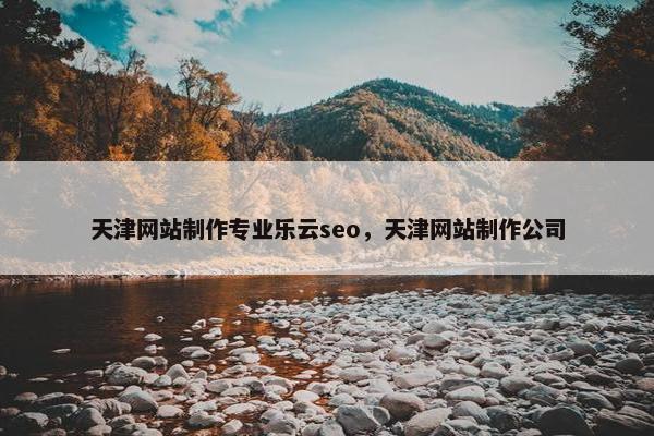 天津网站制作专业乐云seo，天津网站制作公司