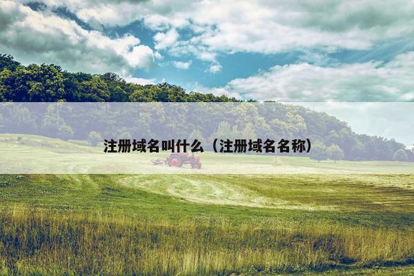 注册域名叫什么（注册域名名称）