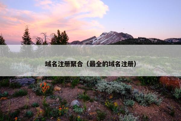 域名注册聚合（最全的域名注册）