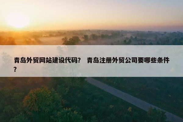 青岛外贸网站建设代码？ 青岛注册外贸公司要哪些条件？