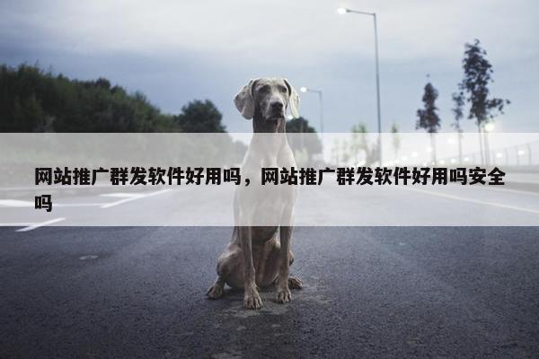 网站推广群发软件好用吗，网站推广群发软件好用吗安全吗