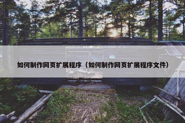 如何制作网页扩展程序（如何制作网页扩展程序文件）