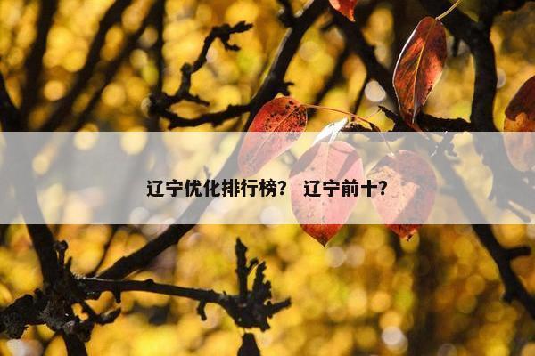 辽宁优化排行榜？ 辽宁前十？