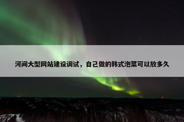 河间大型网站建设调试，自己做的韩式泡菜可以放多久