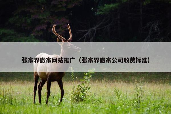 张家界搬家网站推广（张家界搬家公司收费标准）