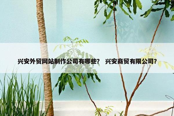 兴安外贸网站制作公司有哪些？ 兴安商贸有限公司？