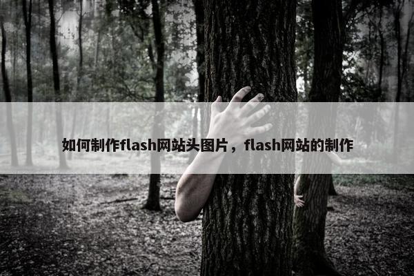 如何制作flash网站头图片，flash网站的制作