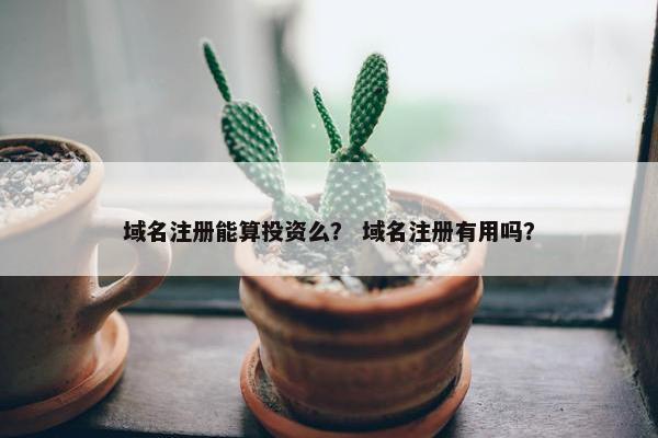 域名注册能算投资么？ 域名注册有用吗？