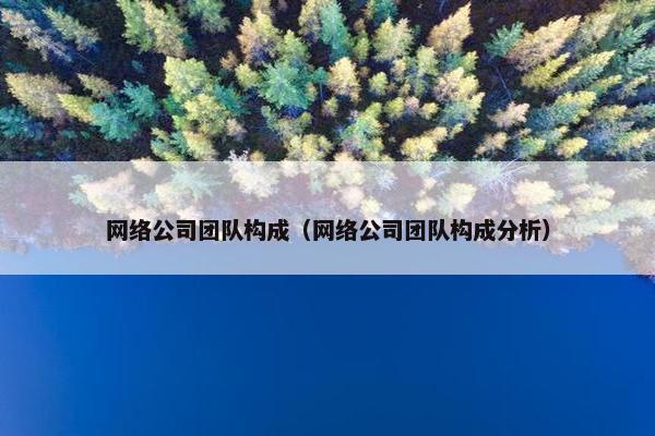 网络公司团队构成（网络公司团队构成分析）