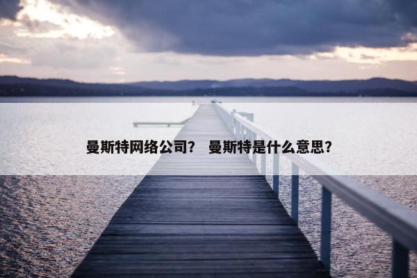 曼斯特网络公司？ 曼斯特是什么意思？