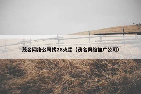 茂名网络公司找28火星（茂名网络推广公司）