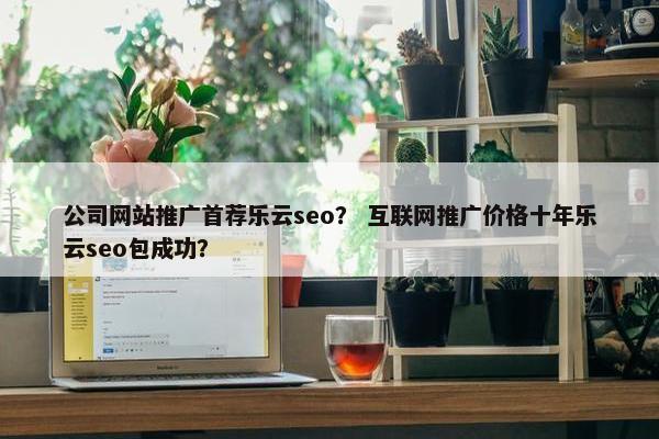 公司网站推广首荐乐云seo？ 互联网推广价格十年乐云seo包成功？