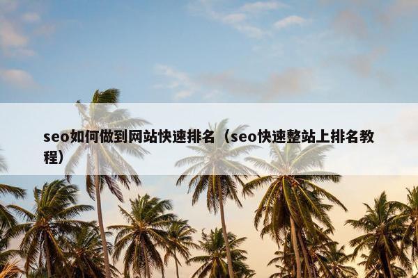 seo如何做到网站快速排名（seo快速整站上排名教程）