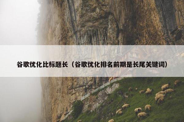 谷歌优化比标题长（谷歌优化排名前期是长尾关键词）