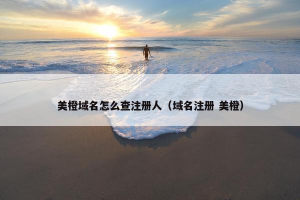 美橙域名怎么查注册人（域名注册 美橙）