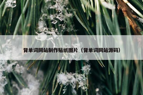 背单词网站制作贴纸图片（背单词网站源码）
