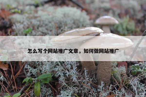 怎么写个网站推广文章，如何做网站推广