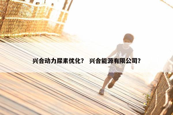 兴合动力尿素优化？ 兴合能源有限公司？