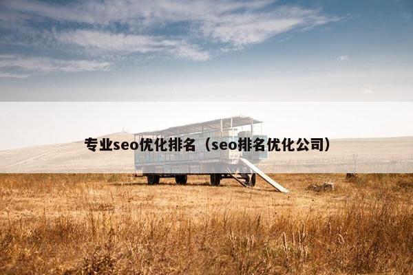 专业seo优化排名（seo排名优化公司）
