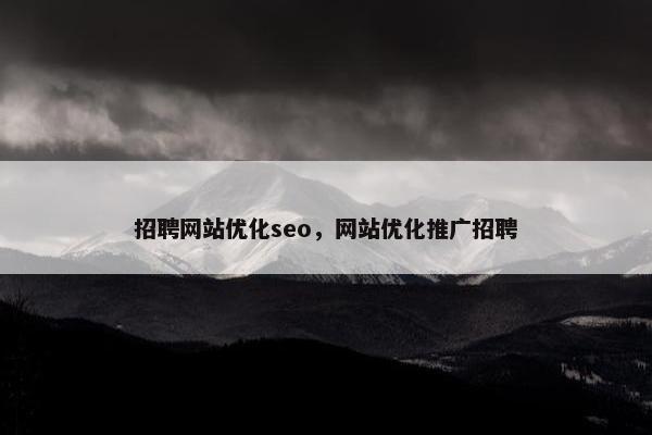 招聘网站优化seo，网站优化推广招聘