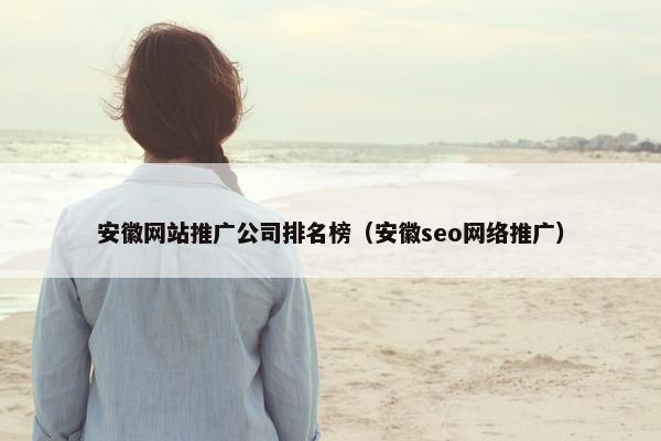 安徽网站推广公司排名榜（安徽seo网络推广）