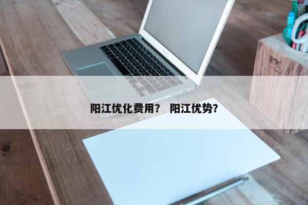 阳江优化费用？ 阳江优势？