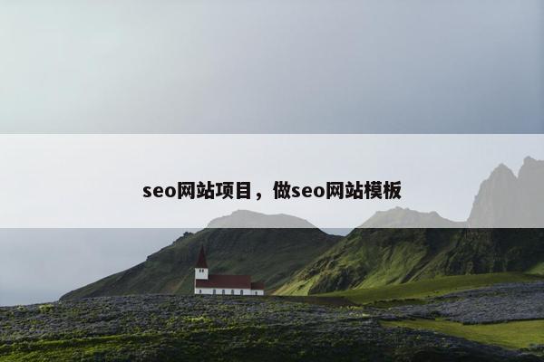 seo网站项目，做seo网站模板